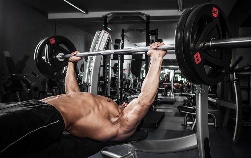 12 Laws Of Elite Chest Training