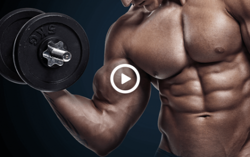 Shoulders & Arms Workout